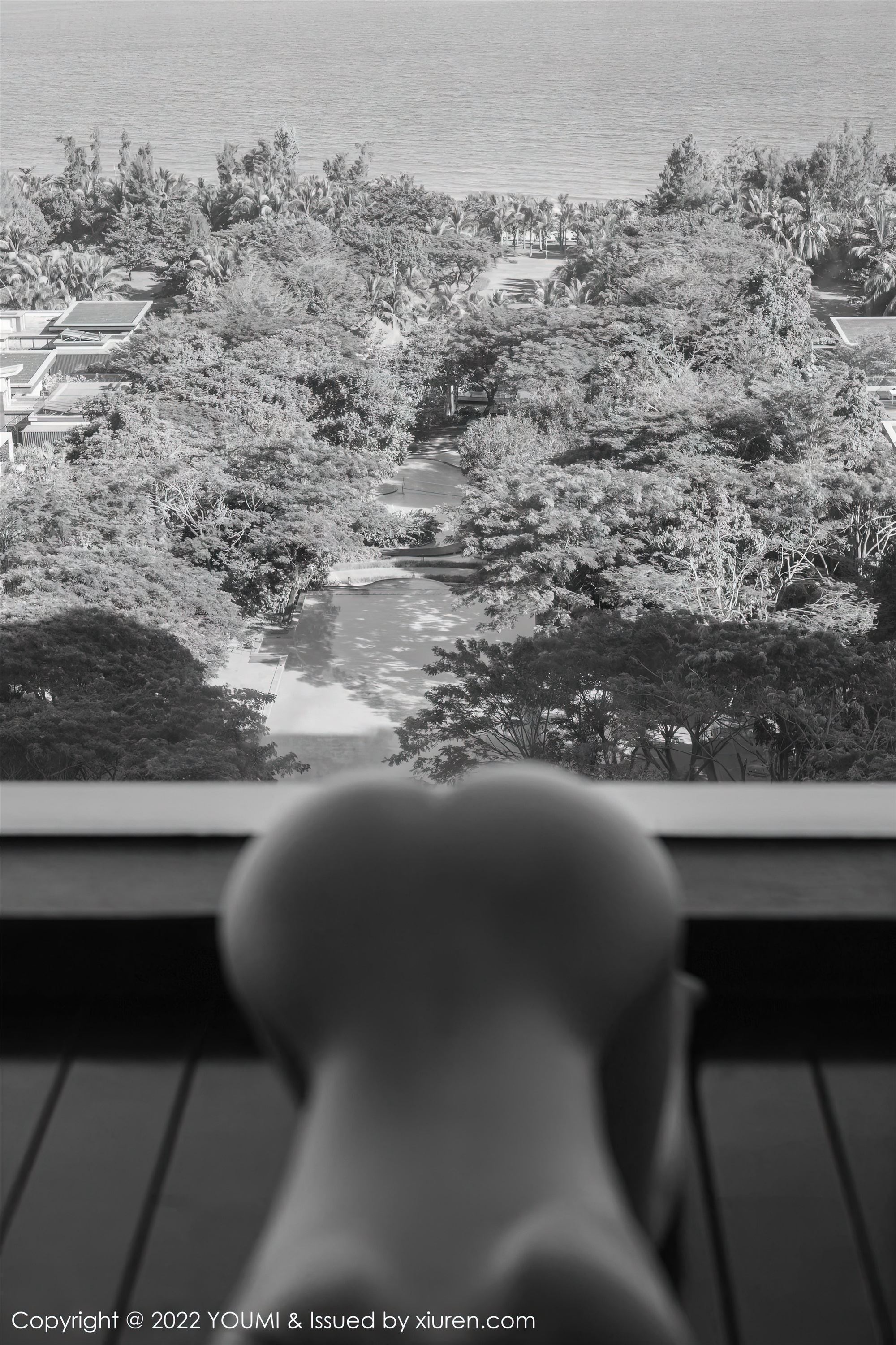 YouMi尤蜜荟 2022.12.23 VOL.882 Carol周妍希